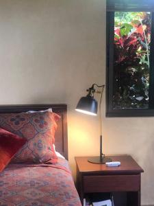 Luxury In The Jungle