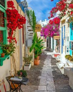 Vignetta Mare Guest House