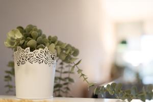 Strandhotel Kellenhusen Strandhafen Rocksien