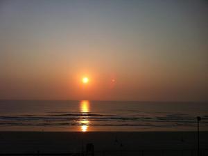 Harbour Beach Resort