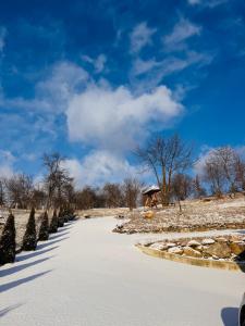 Pensiunea ROCA Maramureș