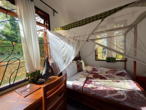 Sophie Homestay