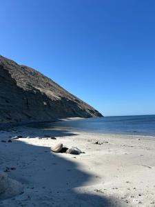 Hostal Costa del Árbol