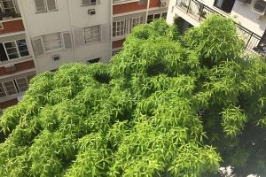 Fer504| Apartamento na Rua Dias Ferreira, Leblon