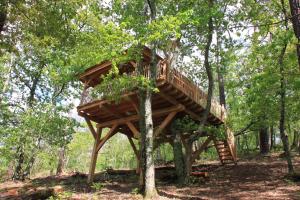 Chalets Les Cabanes des Benauges : photos des chambres