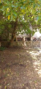 Departamento a 100 metros del mar