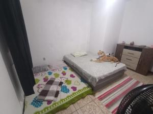 Casa Compartilhada! Responsável no local