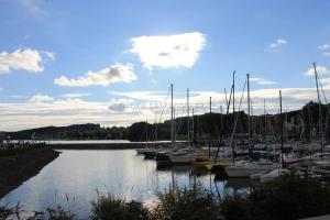 Apartment Riviera 13 Lipno