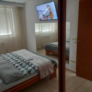 sibiu families & groups apartment