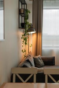 APT Nadmorskie - Etna-Polonia