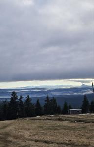 Apartament Leszczyńska 29 - cicho, blisko centrum, idealny na rower i narty