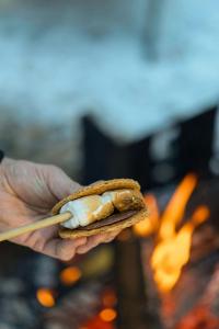 Postcard Cabins Asheboro, Outdoor Collection by Marriott Bonvoy