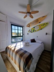 VV Tropical Sun and Palm "by henrypole home"