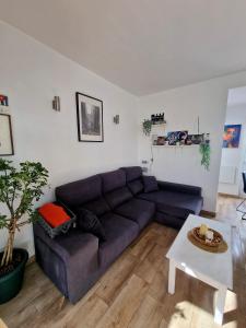 VV Tropical Sun and Palm "by henrypole home"