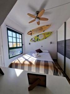 VV Tropical Sun and Palm "by henrypole home"