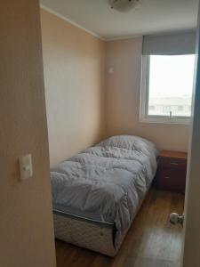 Pacifico Terrazas II