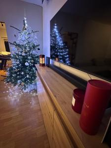 Dom pod mirabelkou - Mirabell ház