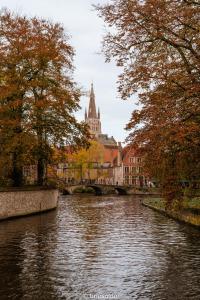 La Petite Foret Flat near Historic Bruges