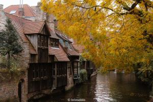 La Petite Foret Flat near Historic Bruges