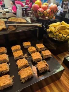 Hotel viste river Amazonas