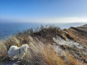 14 person holiday home in Sæby