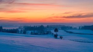 Dobra Wola Dobra Chata - domek z balią w naturze by Nestri
