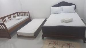 Eco House1