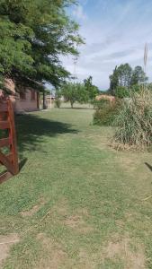 Viejo Algarrobo Villa Amancay Calamuchita