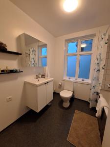 Historic House Downtown Reykjavík