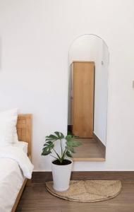 Lamera Homestay & Coffee