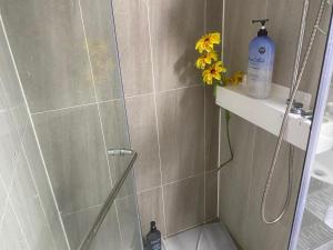 songdo house CENTRAL PARK 3room new build up