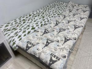 songdo house CENTRAL PARK 3room new build up