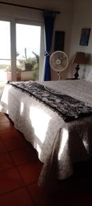 Summer Nights Oceanfront Villa - Pool & Jacuzzi