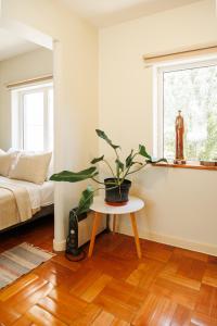 Tranquilo estudio en Lastarria