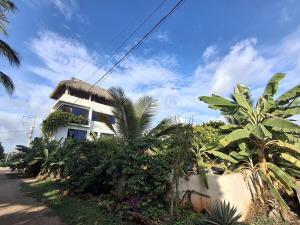 Surf Villa with Ocean View and Palapa Rooftop
