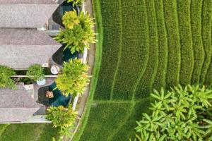 Honora Smart Royal 1 BR Private Pool Villa