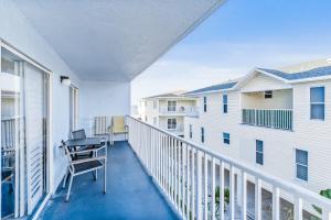 Sand Dollar 212