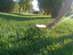 Mar de Cobo, Viento de mare