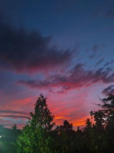 Triangle Cottage, Near 7 waterfall in north Bali