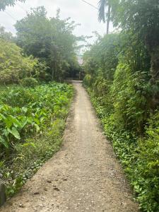 Mekong home homestay