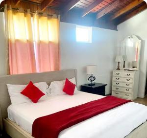 Cozy 2 of 5 Apartment in the Heart of Ocho Rios