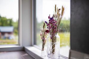 Luxury Villa in Hokkaido HIGASHIKAWA - 美瑛 富良野 旭岳 旭山動物園 スキー- 6beds