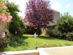 B&B / Chambres d'hotes B&B Maison Angelus : photos des chambres