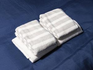 Tokyo Tower Hostel Shiba Park - 東京タワーホステル芝公園 - 羽田空港までアクセス抜群 東京タワー徒歩15分 無料Wi-Fi