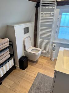 Luxurious house in the center of Bruges