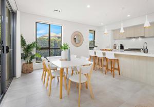 Serendipity Shell Cove