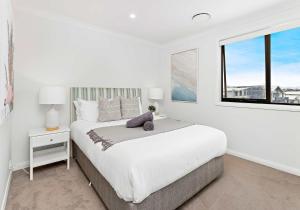 Serendipity Shell Cove