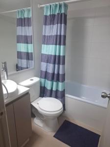 Departamento nuevo en santiago centro