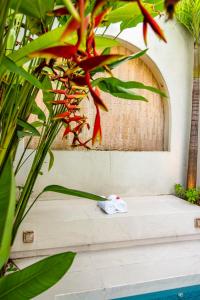 Anoya Boutique Villa