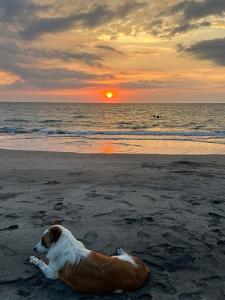 Balai Sencilla Staycation